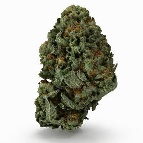 Cannabis Bud 06 3D model